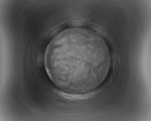 X0000085260034200703301842