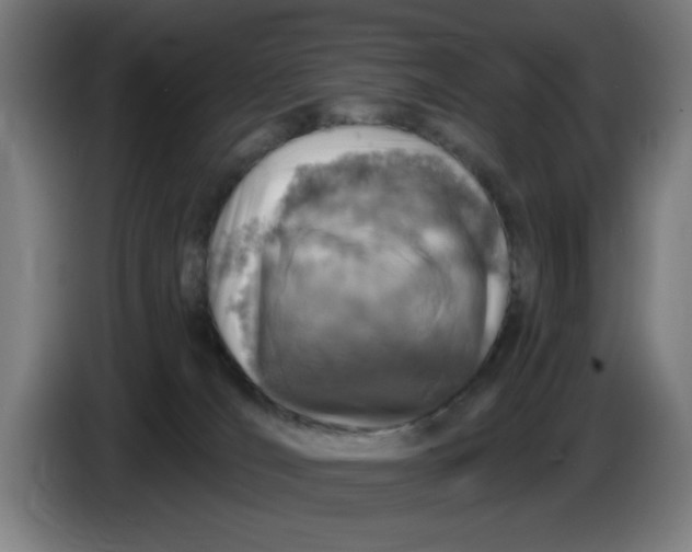 X0000085260036200703301842