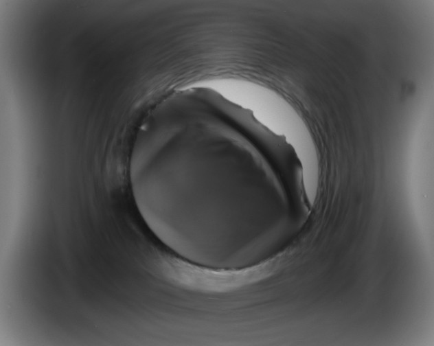 X0000085260039200703301842