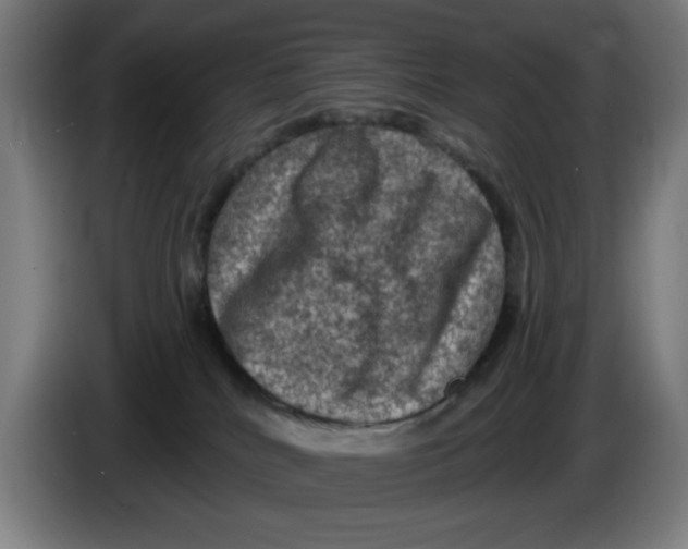 X0000085260040200703301842