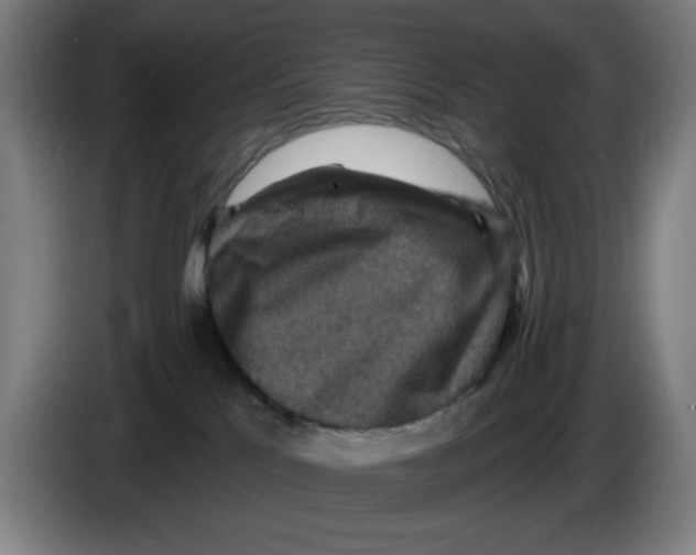 X0000085260041200703301842