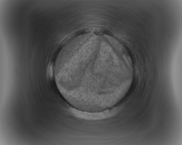 X0000085260042200703301842