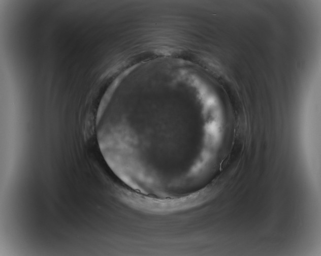 X0000085260043200703301842