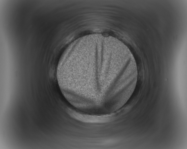 X0000085260044200703301842