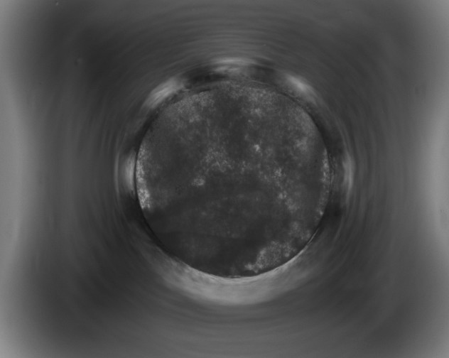 X0000085260047200703301842