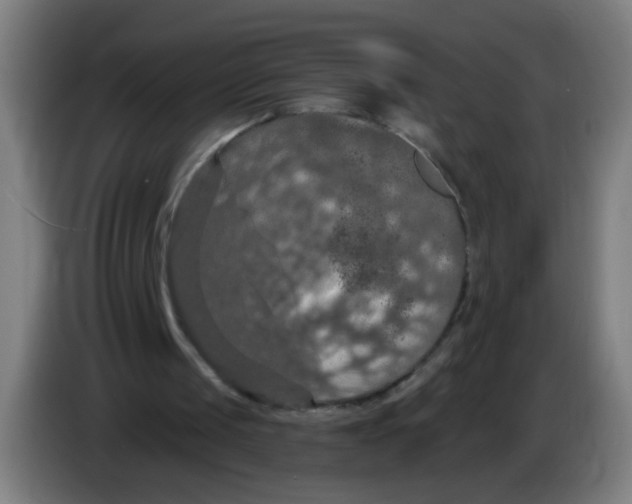 X0000085260049200703301841