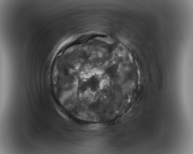 X0000085260050200703301841