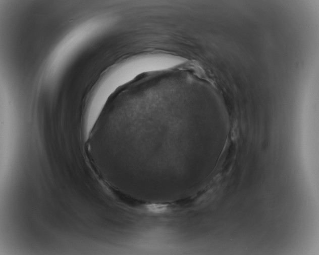 X0000085260052200703301841