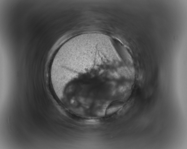 X0000085260053200703301841