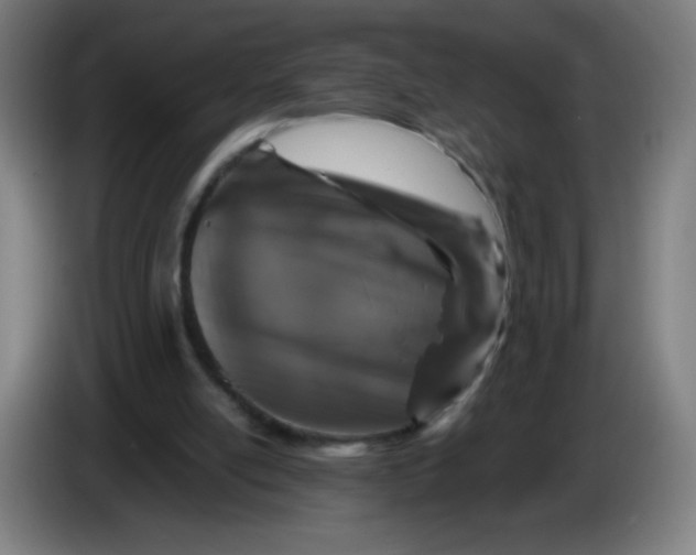 X0000085260054200703301841