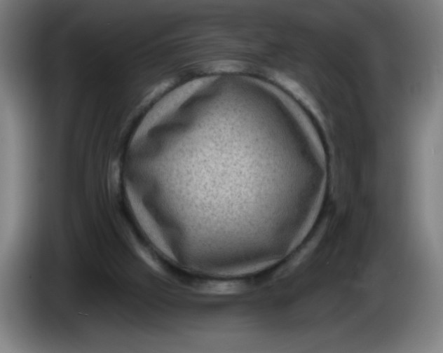 X0000085260057200703301841