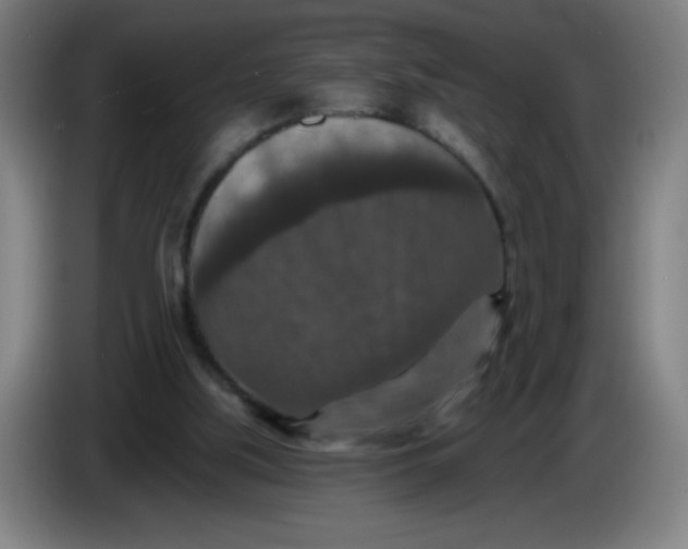 X0000085260059200703301841