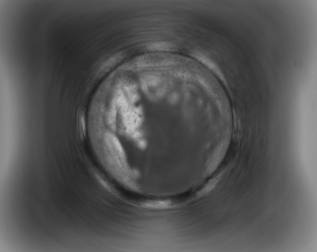 X0000085260061200703301841