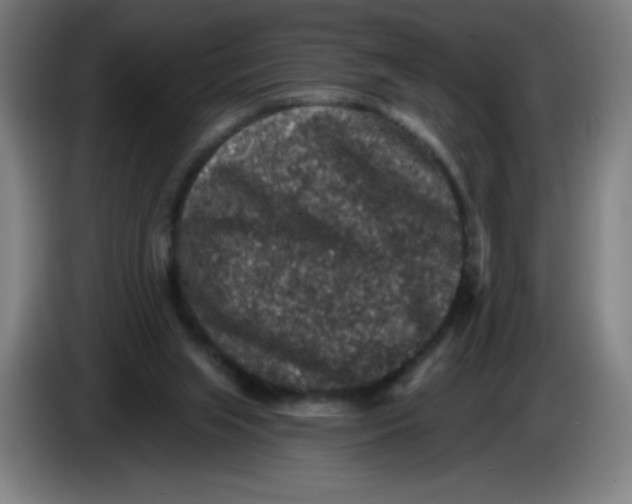 X0000085260063200703301841