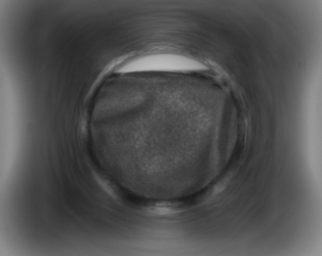 X0000085260064200703301841