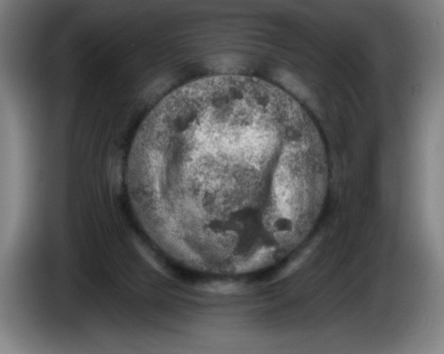 X0000085260065200703301841