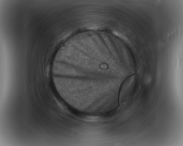 X0000085260066200703301842