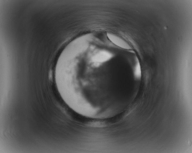 X0000085260067200703301842