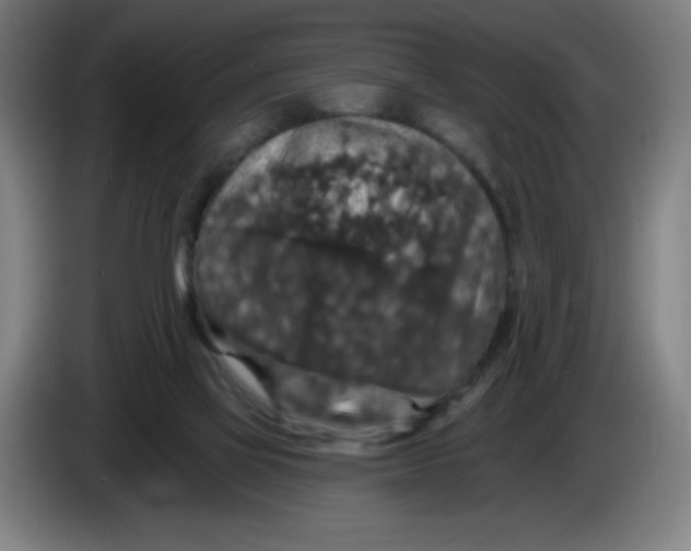 X0000085260069200703301842