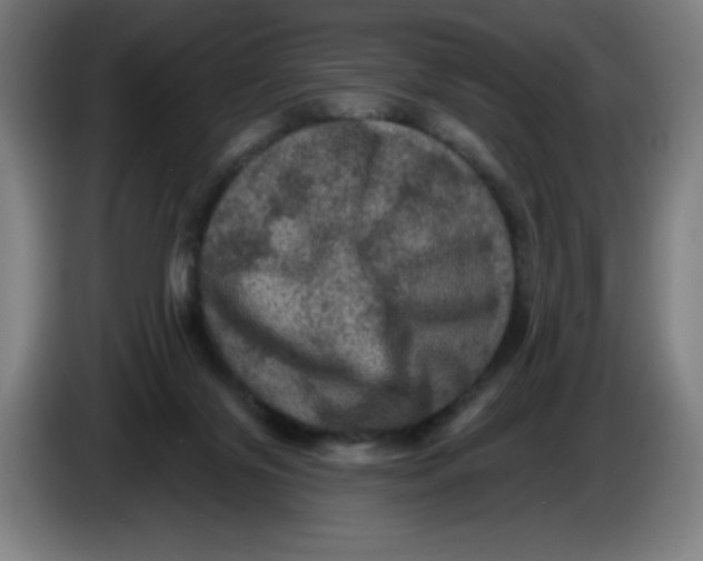 X0000085260071200703301842