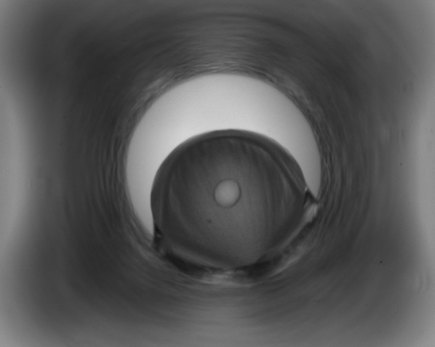 X0000085260072200703301842