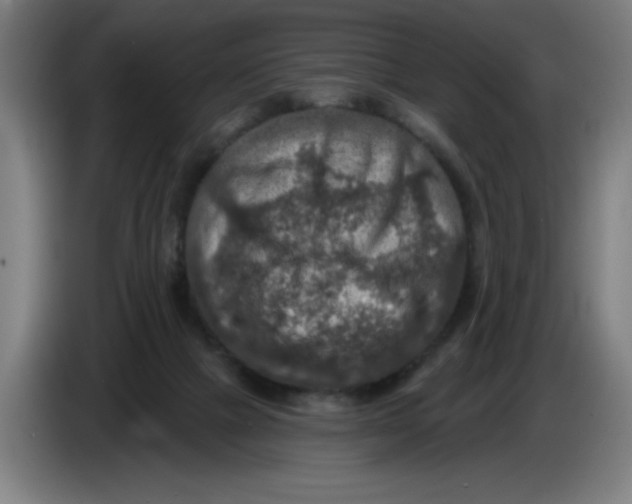 X0000085260073200703301842