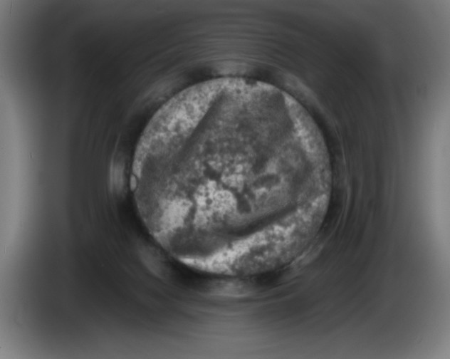 X0000085260074200703301842