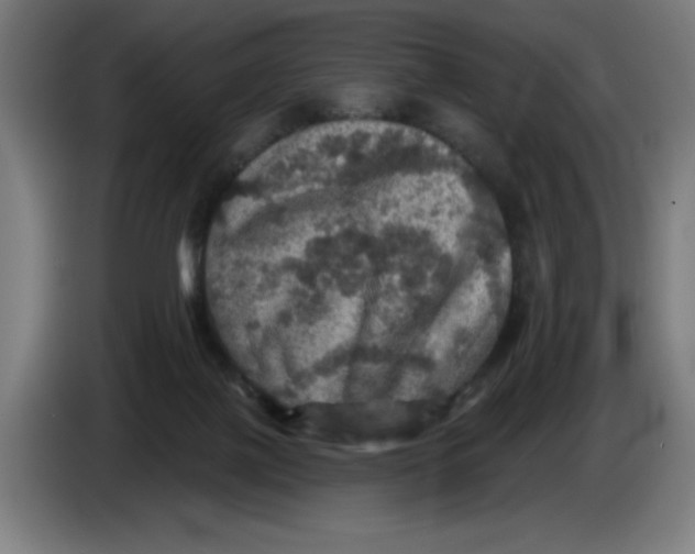 X0000085260075200703301842