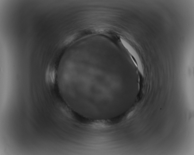 X0000085260076200703301842