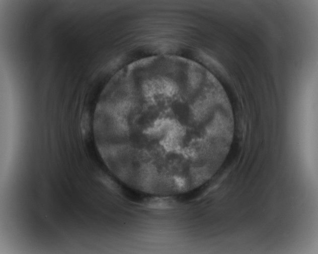 X0000085260077200703301842