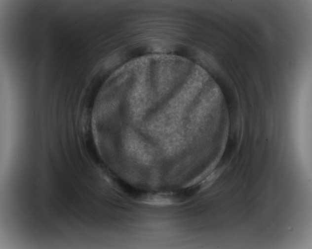 X0000085260078200703301842