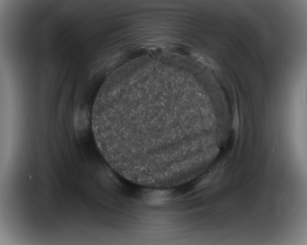 X0000085260081200703301842