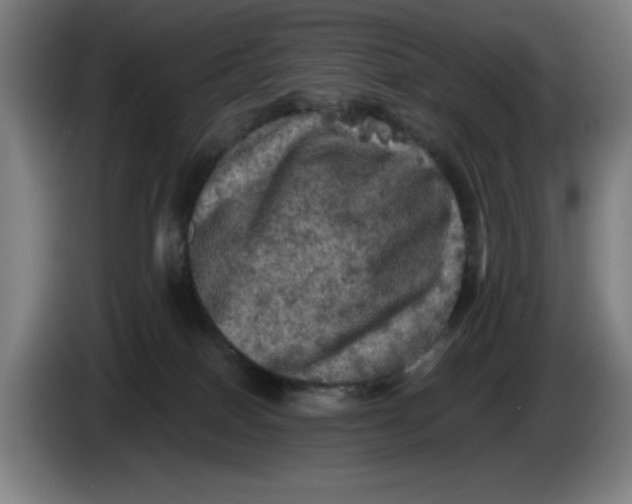 X0000085260086200703301842