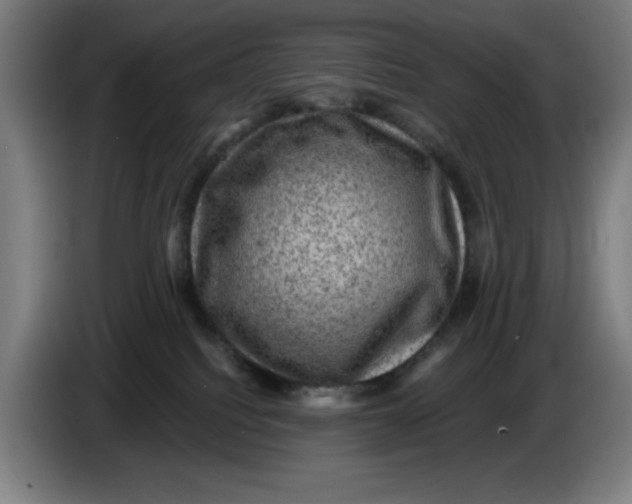 X0000085260088200703301842