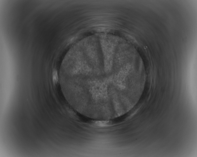 X0000085260089200703301842