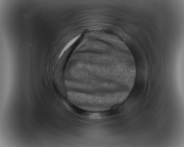 X0000085260091200703301842