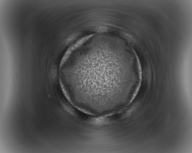 X0000085260092200703301842