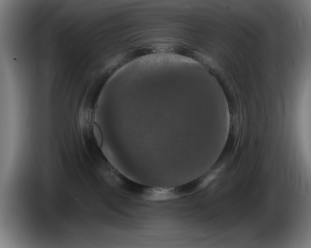 X0000085260093200703301842