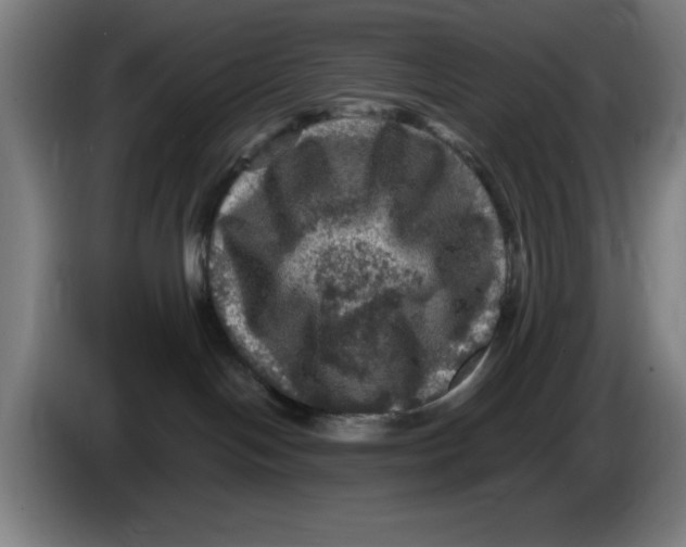 X0000085260094200703301842