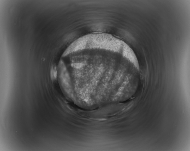 X0000085260095200703301842