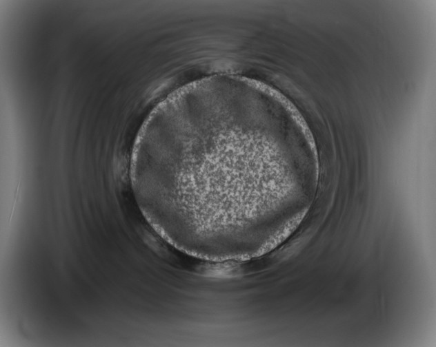 X0000085260096200703301842