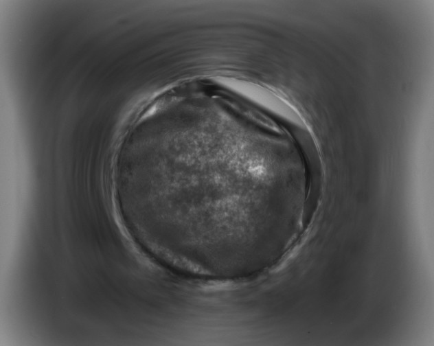 X0000085260097200703301841