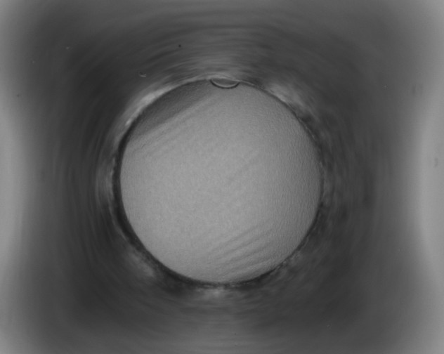 X0000085260098200703301841