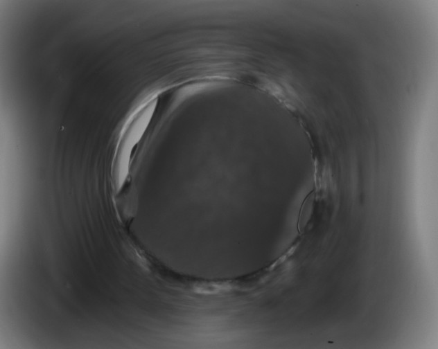 X0000085260099200703301841