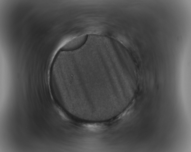 X0000085260100200703301841