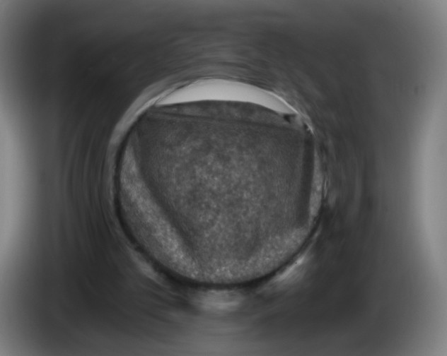 X0000085260101200703301841