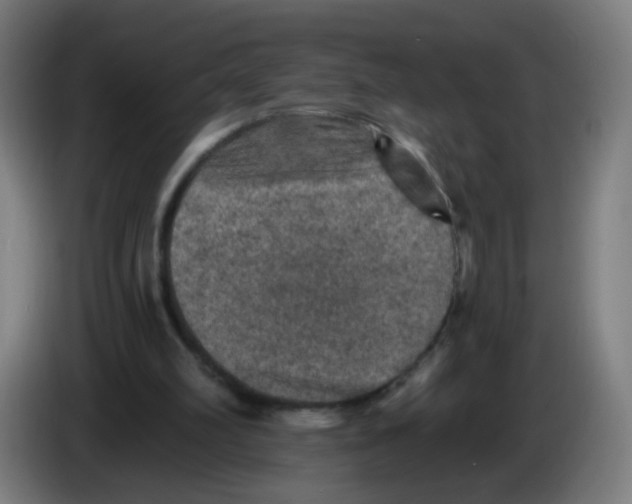 X0000085260102200703301841