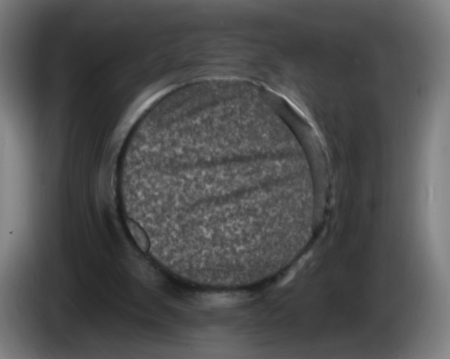 X0000085260103200703301841