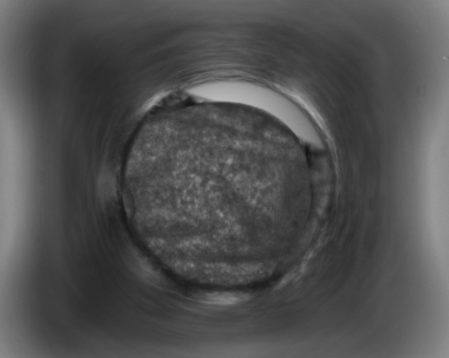 X0000085260105200703301841