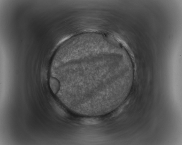 X0000085260106200703301841